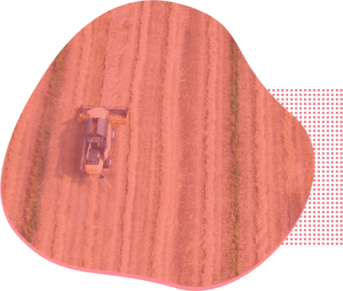 SoftDesign - Case concepção - Plataforma para agronegócio