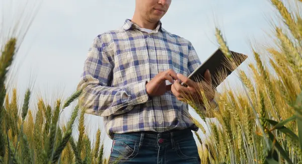 Tecnologia no Agronegócio: o futuro da produção sustentável e eficiente