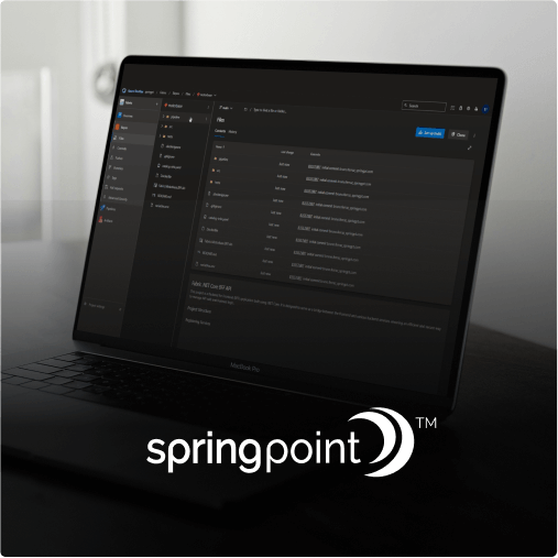 Internal Developer Platform para escalar a Spring Point mundialmente